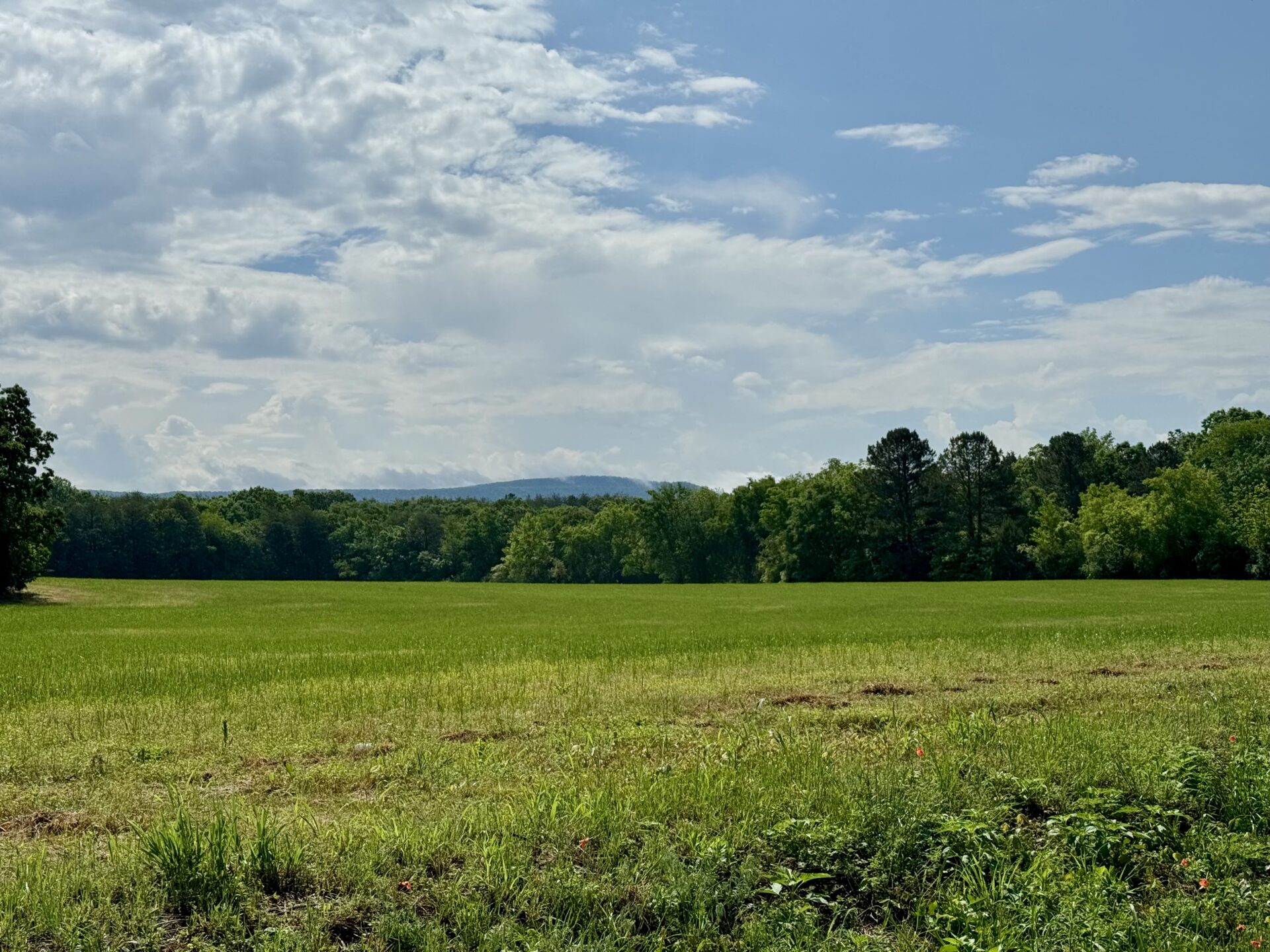 Chestnut Grove Etowah, TN Alley Realty & Auction