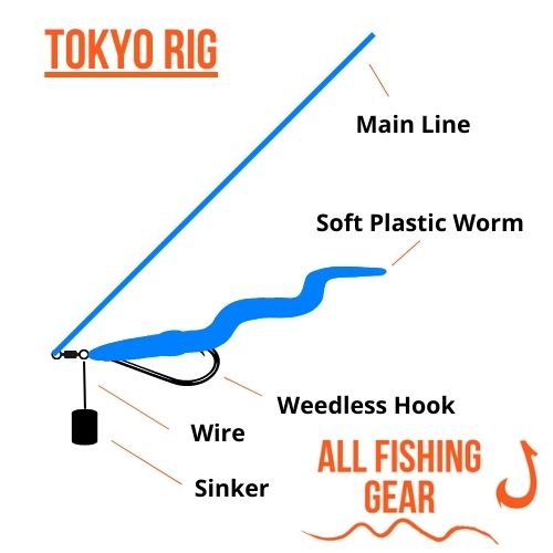 Ranking The 9 Best Bass Fishing Rigs All Fishing Gear