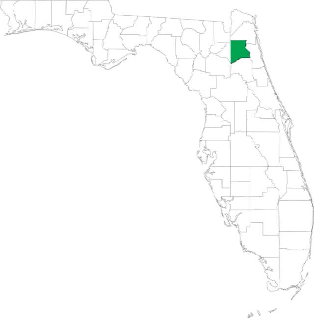 Clay County All Florida Process