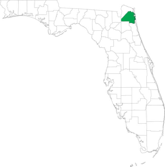 Duval County All Florida Process