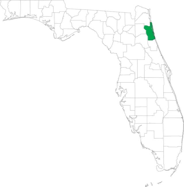 St. Johns County All Florida Process