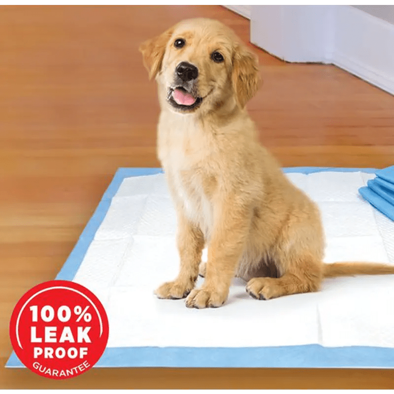 Puppy Training Pads Dog Toilet Training Pads Allforpets.lk