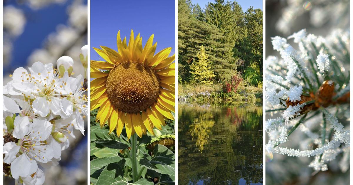 About Us All Four Seasons A/C & Heating, Inc.