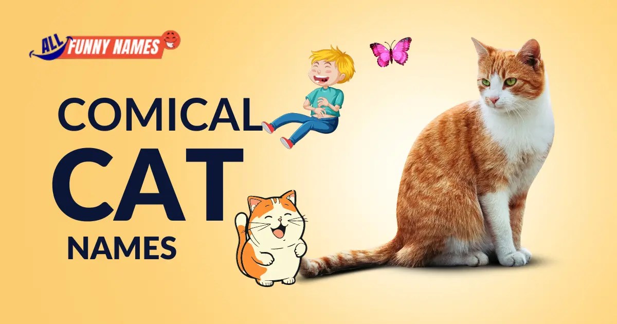 200+ Comical Cat Names Best Names Collection