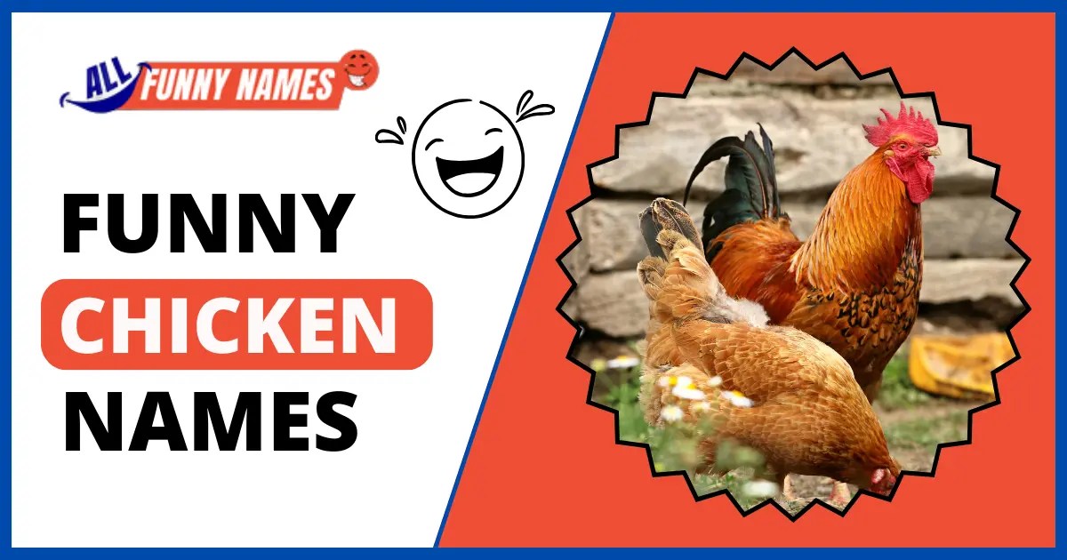 200+ Best Funny Chicken Names List Get Ready To Chuckles
