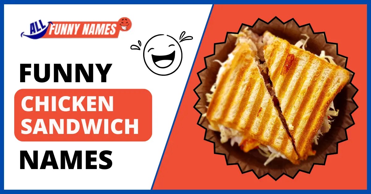 Funny Chicken Sandwich Names (300+ Creative Ideas )