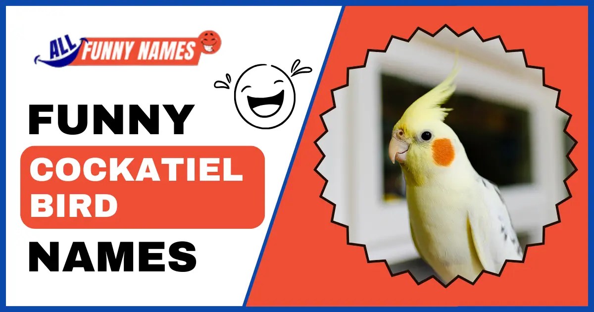 260+ Funny Cockatiel Bird Names Ideas for Playful Birds