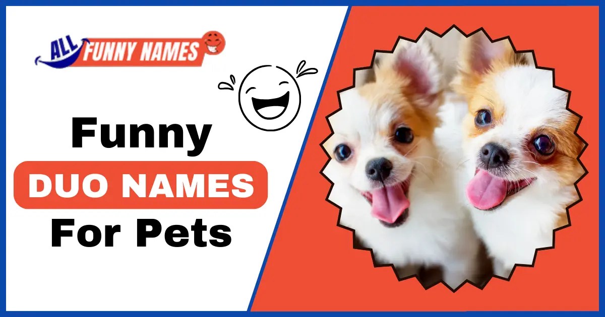 275+ Funny Duo Names for Pets Double the Fun, and Laughs