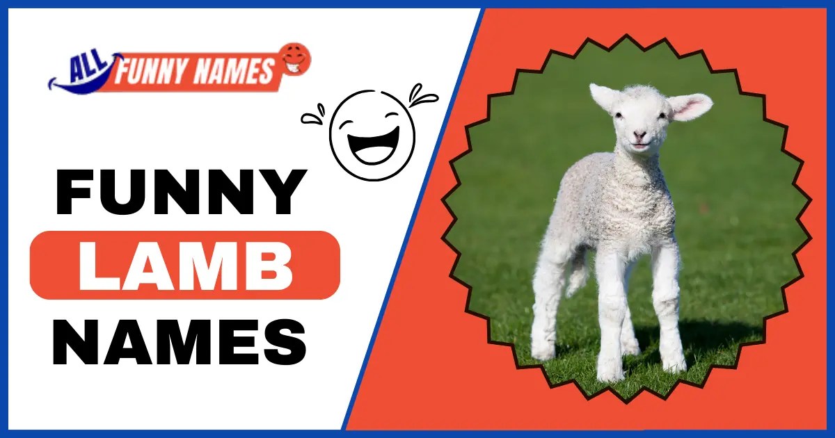 Funny Lamb Names 450+ Quirky Suggestions for Your Lambs