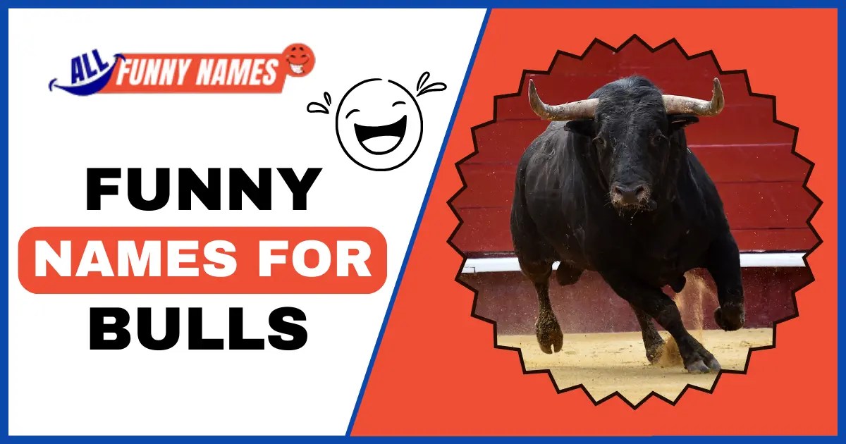 Funny Names For Bulls 500+ Creative and Best name Ideas