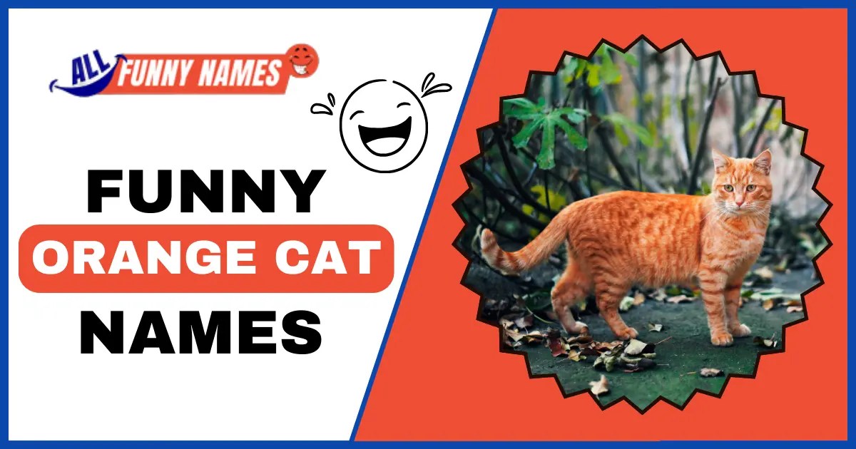 Funny Orange Cat Names ( 400+ Clever Ideas )