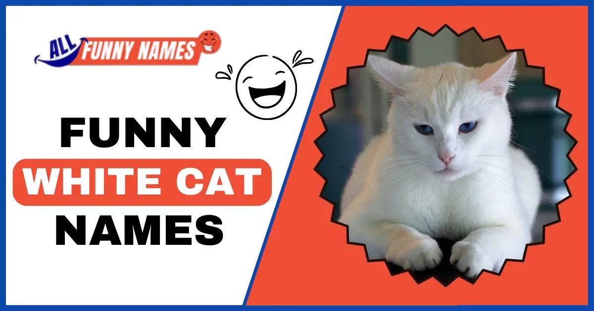 Funny White Cat Names [ 470+ Best Names Collection ]
