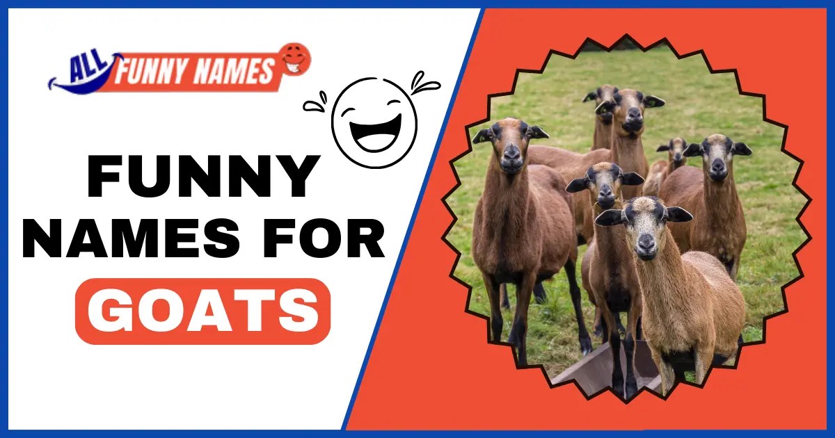 Funny Names For Goats [ 500+ Clever, witty goat names ]