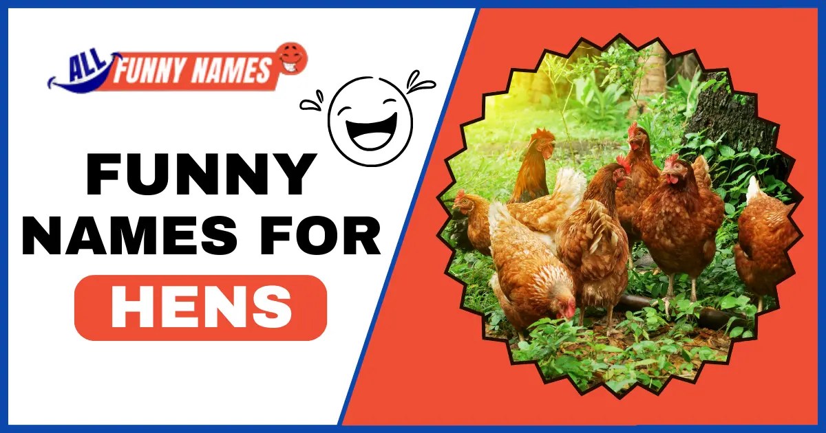 500+ Funny Names for Hens Clever & Short Hen Monikers