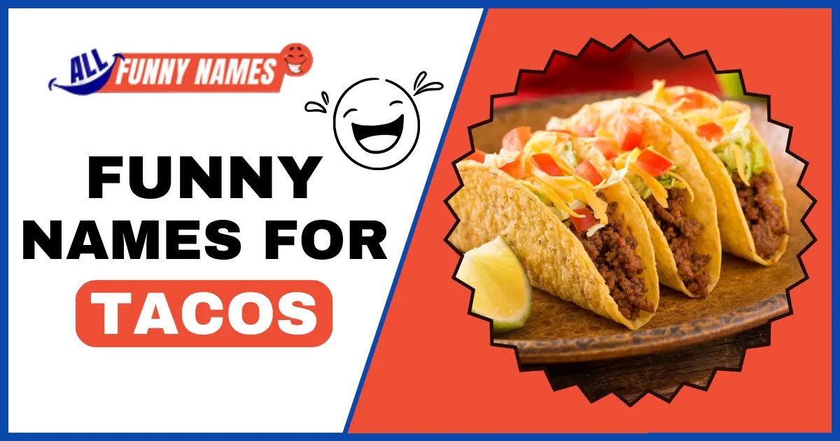 550 Funny Names For Tacos Spice Up Your Menu
