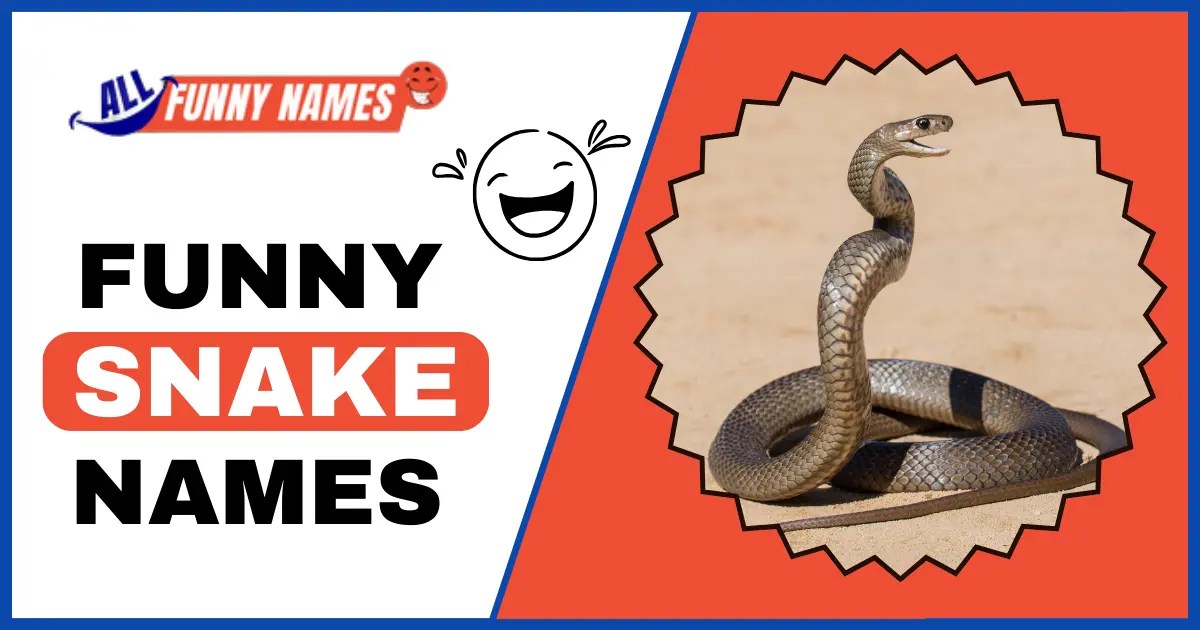 525 Funny Snake Names [ Clever and Short Titles ]