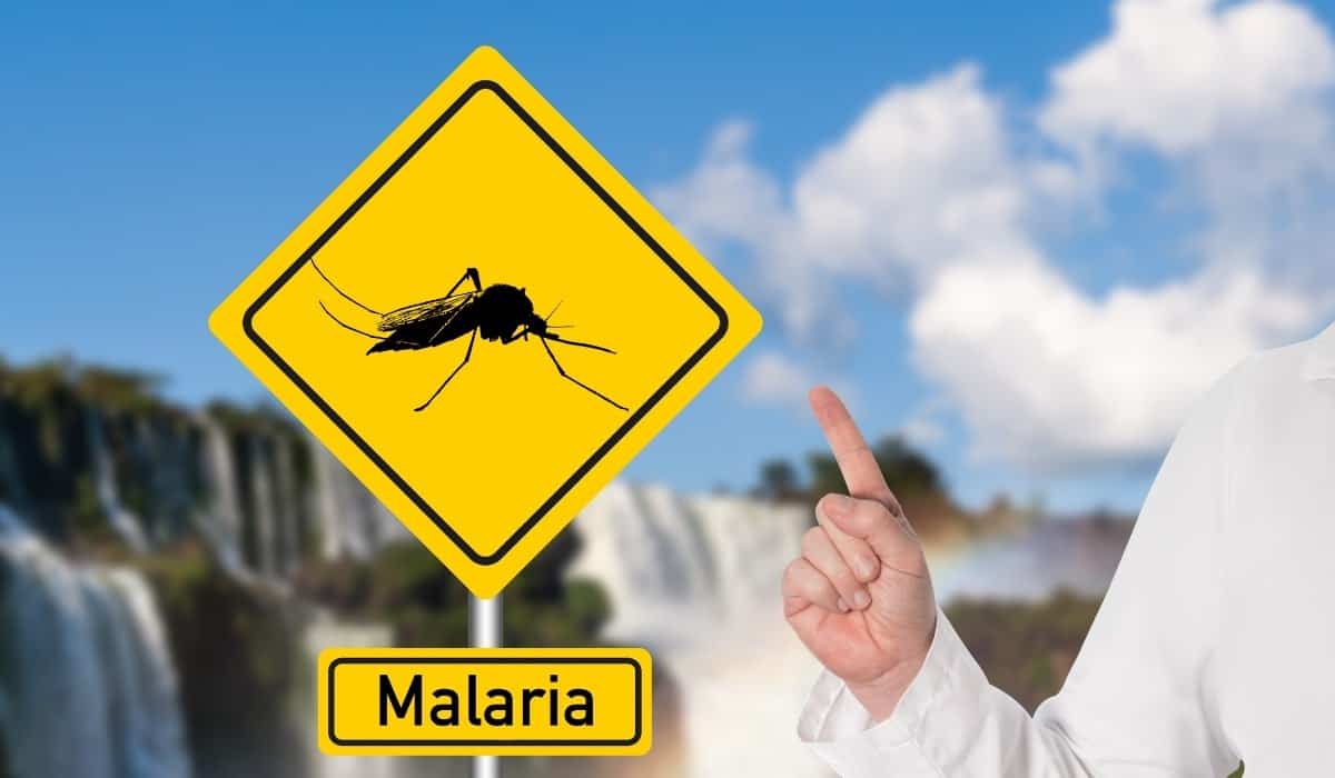 Does Gin and Tonic Prevent Malaria?