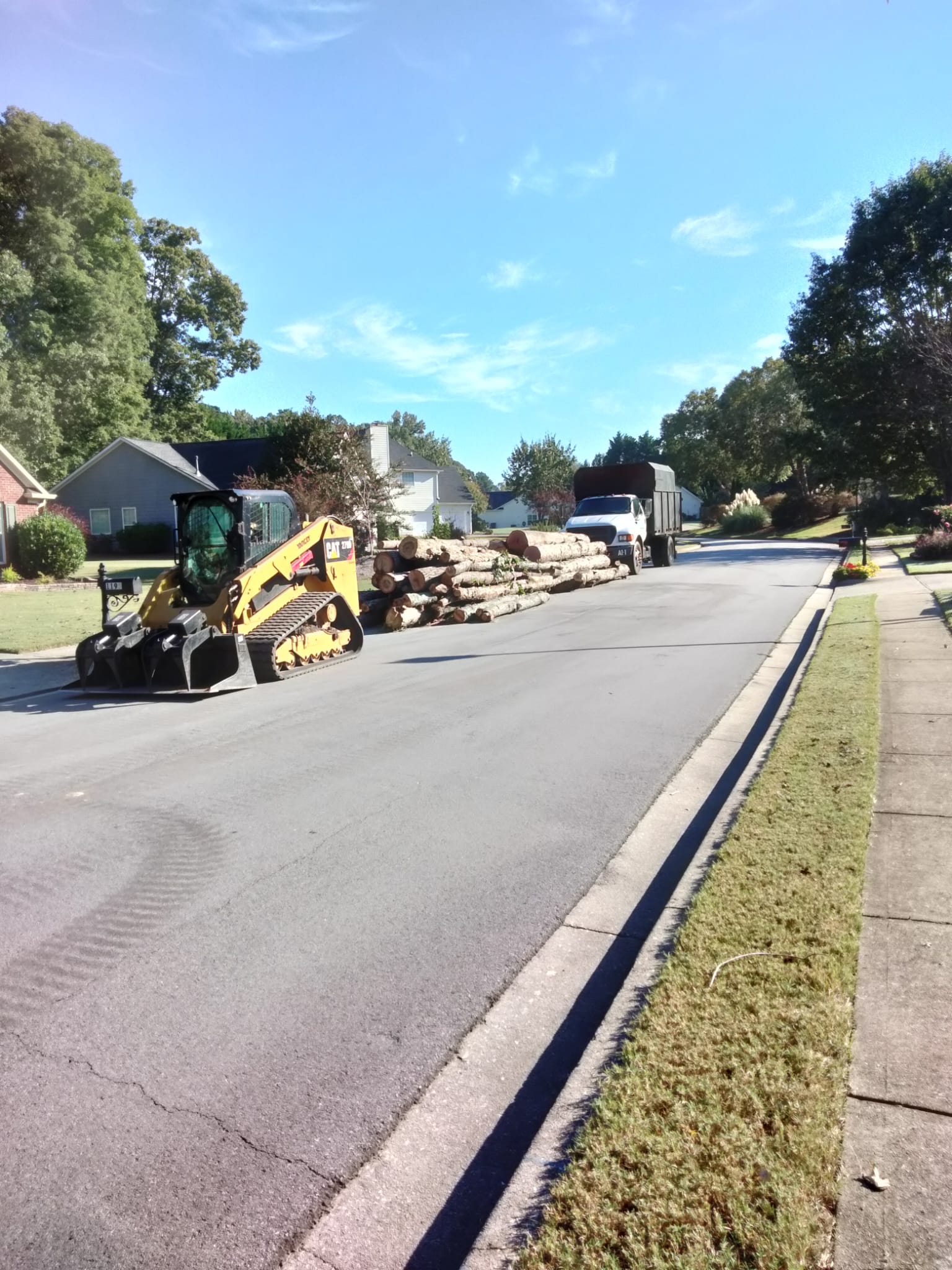 ALL GREEN TREE SERVICES ALL GREEN TREE SERVICES