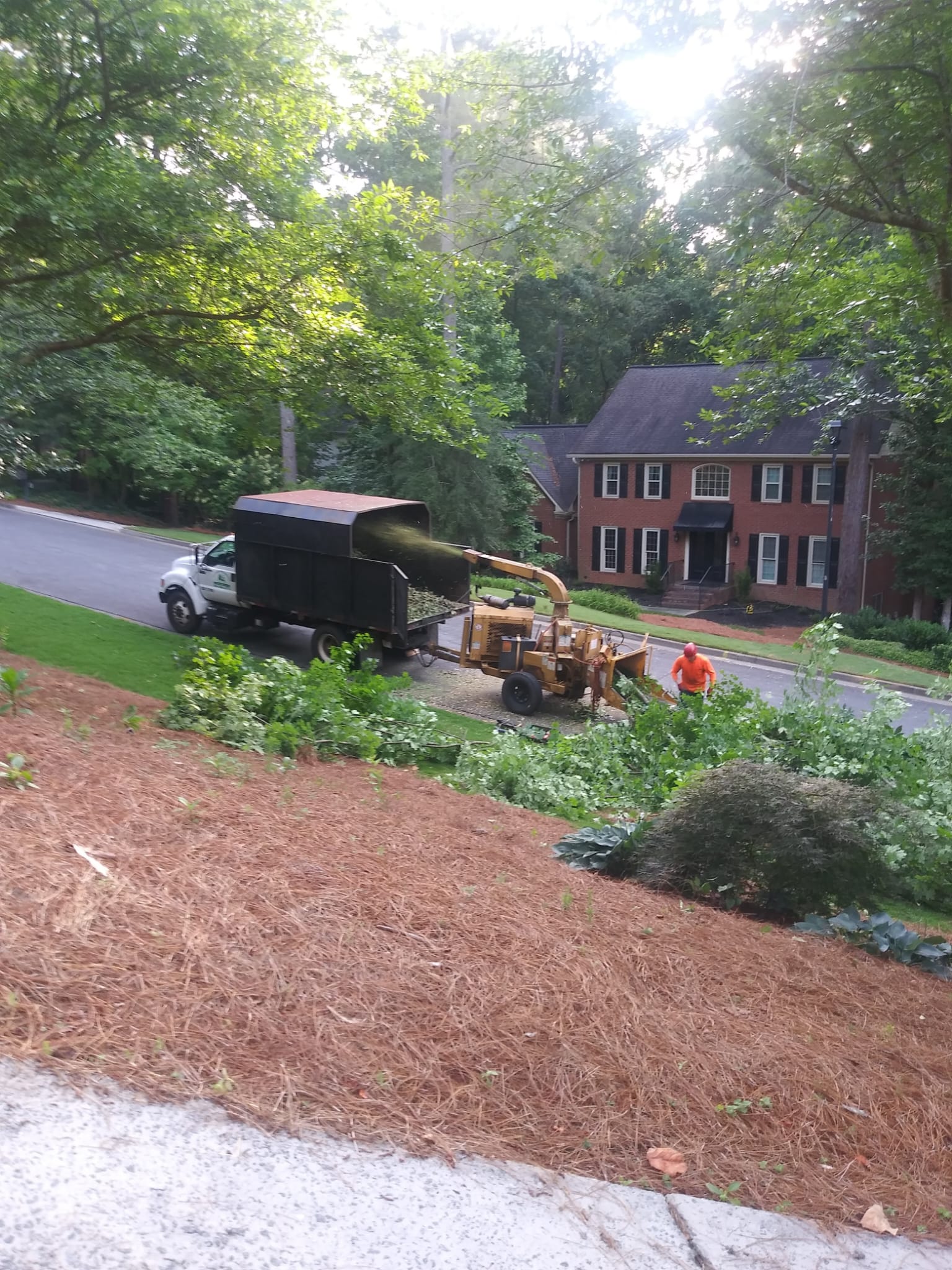 ALL GREEN TREE SERVICES ALL GREEN TREE SERVICES