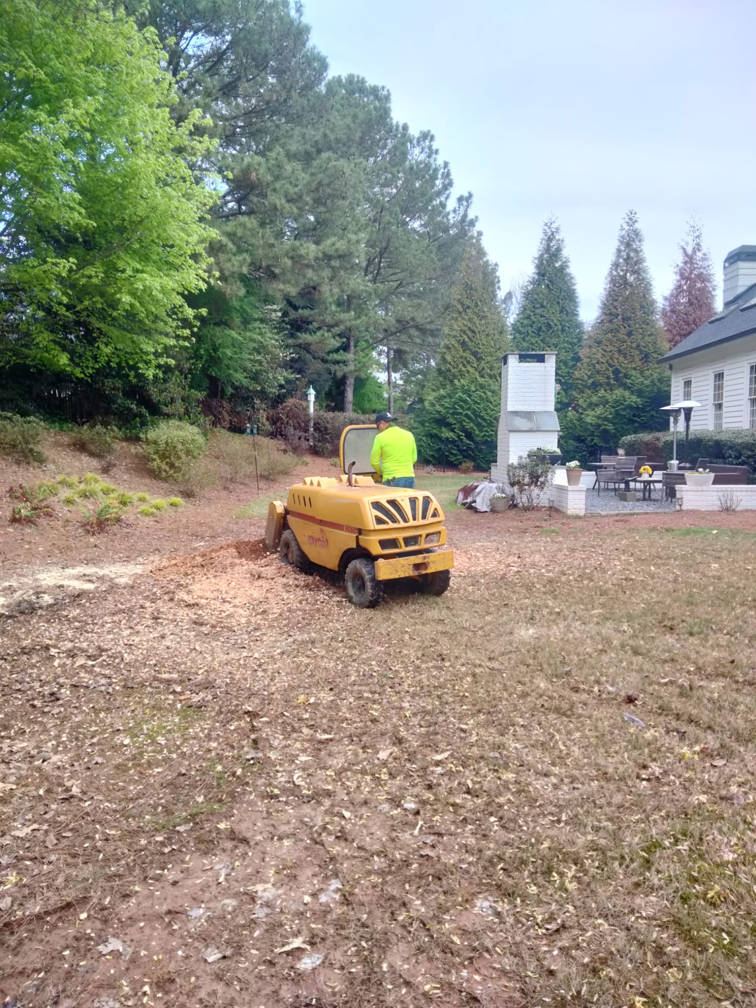 ALL GREEN TREE SERVICES ALL GREEN TREE SERVICES