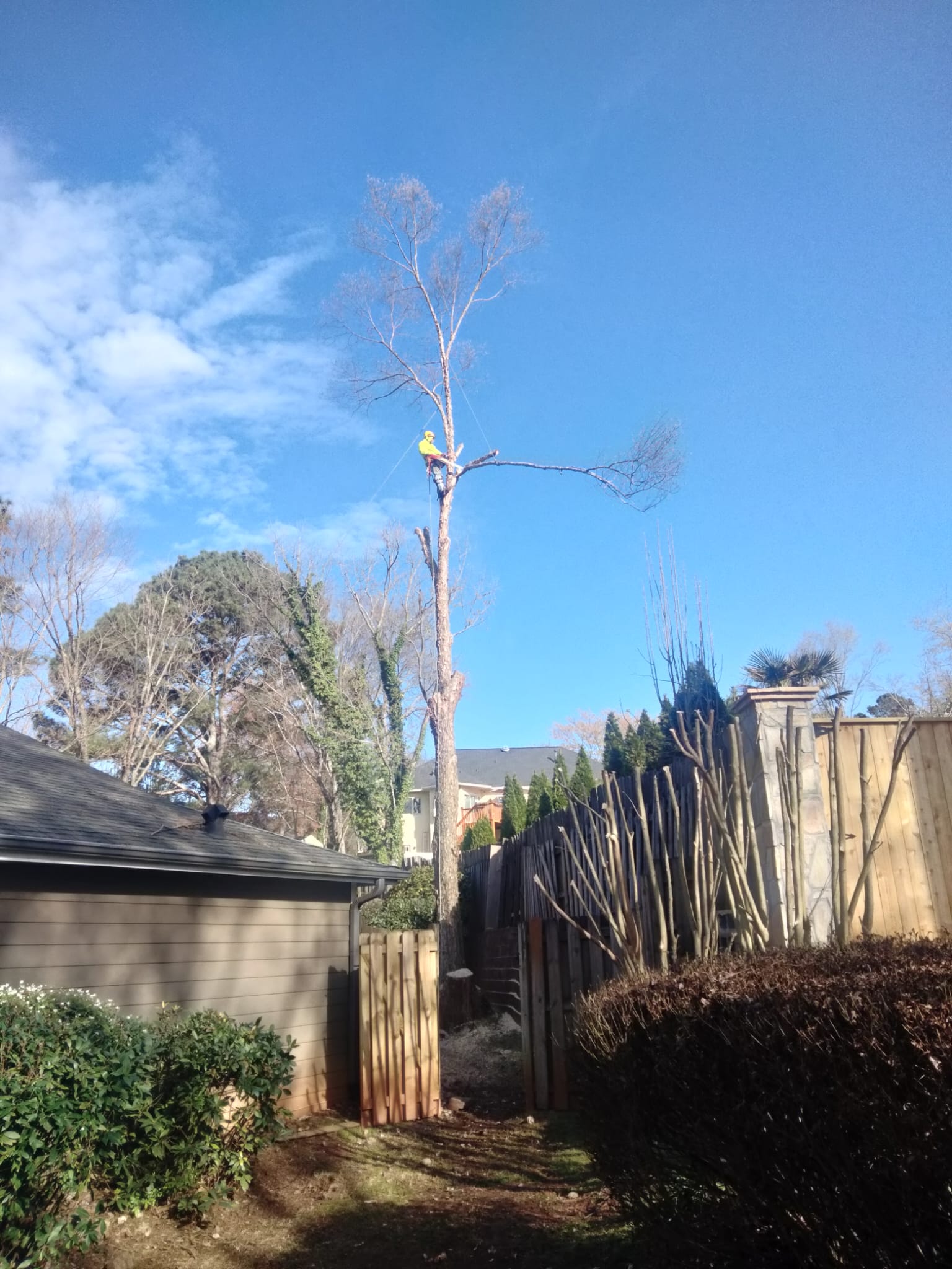 ALL GREEN TREE SERVICES ALL GREEN TREE SERVICES