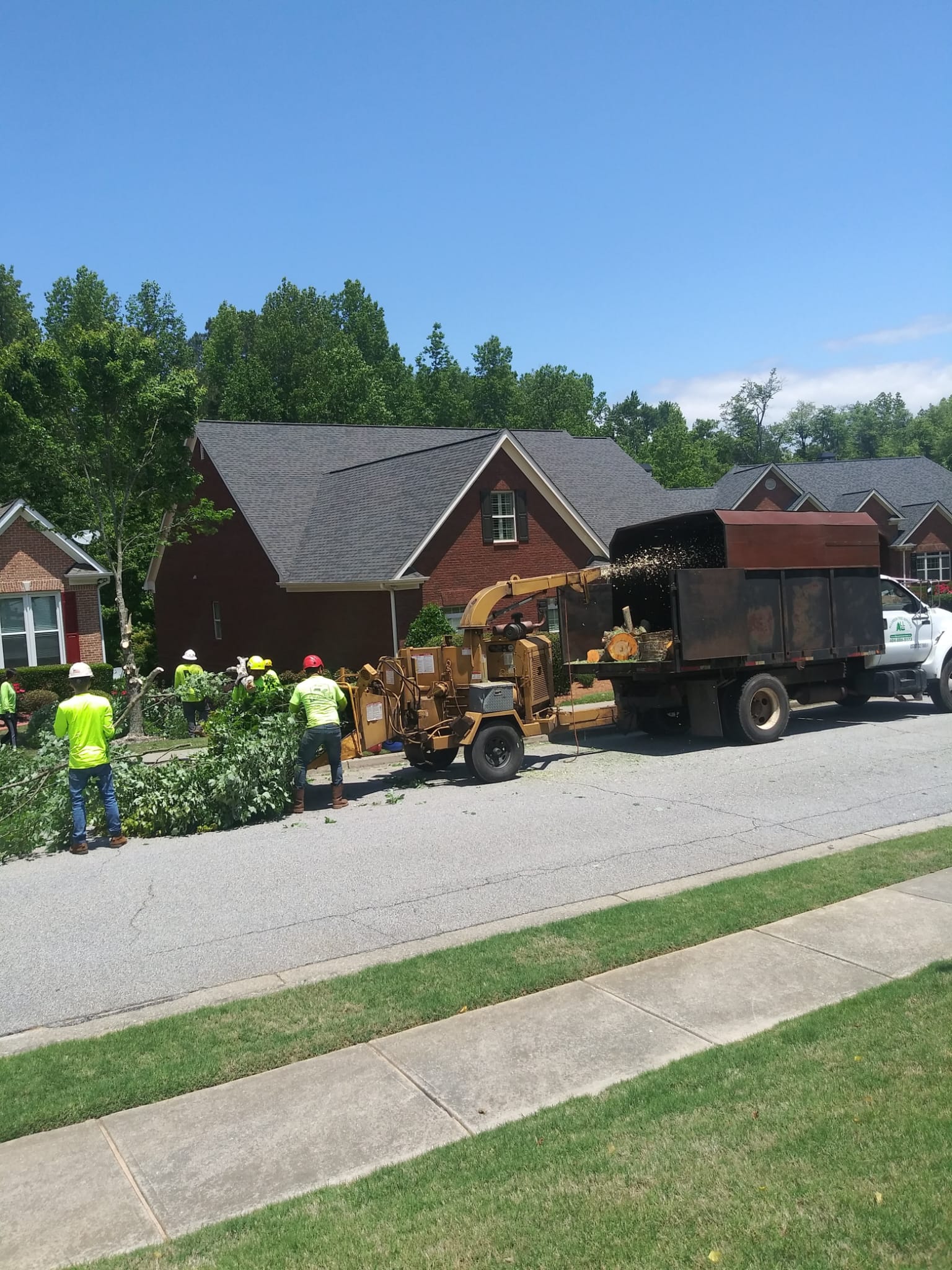 ALL GREEN TREE SERVICES ALL GREEN TREE SERVICES