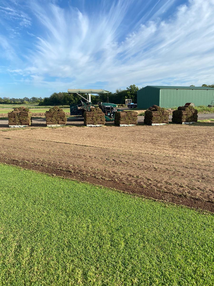 Gallery of what we do All Green Turf Supplies