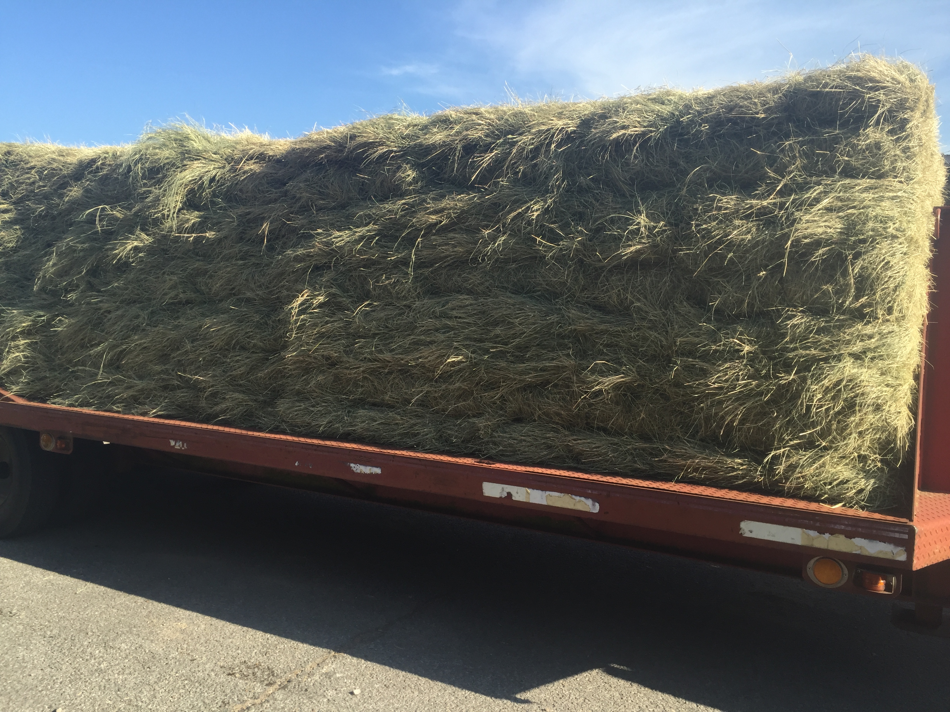 Hay Sale Texas