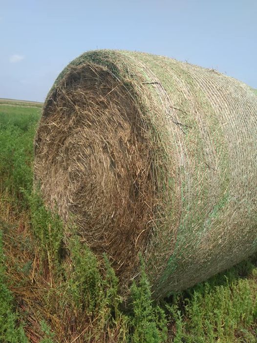Hay for Sale Kansas