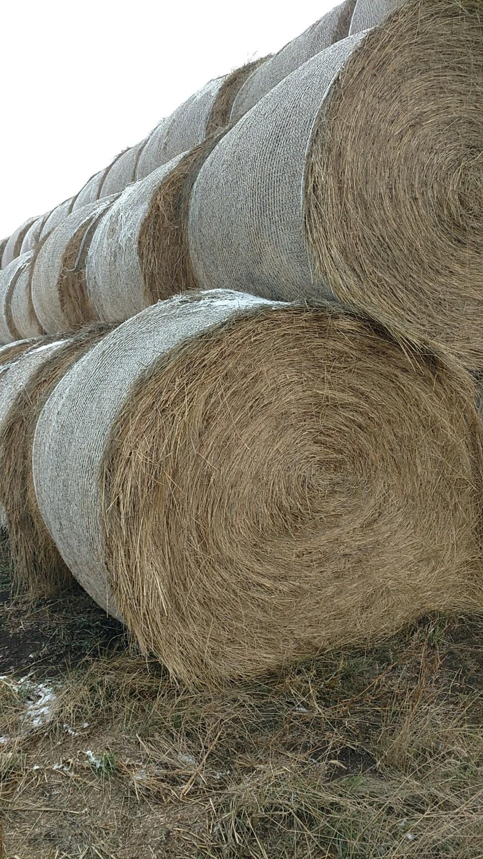 Hay for Sale North Dakota