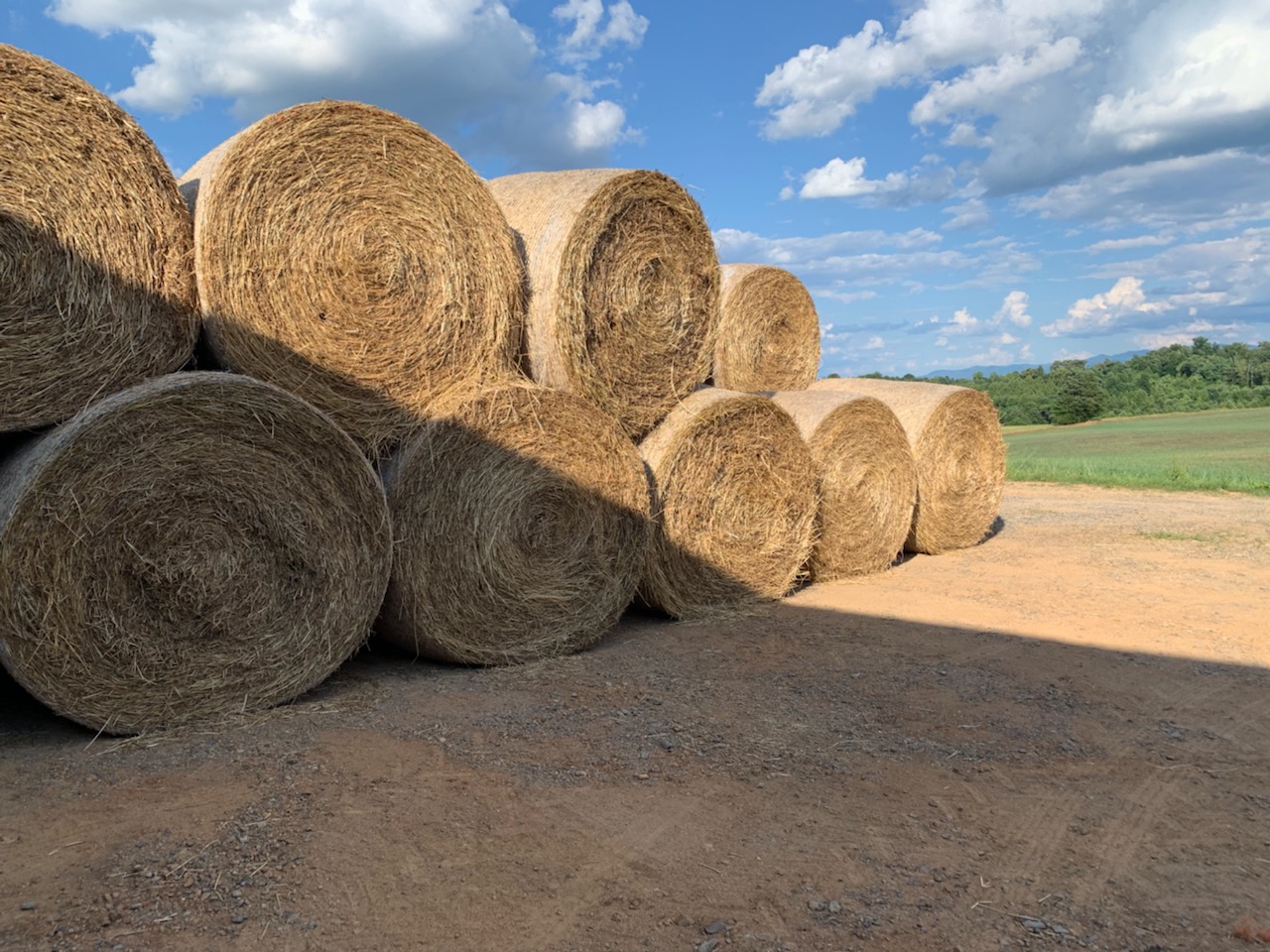 Hay for Sale Tennessee