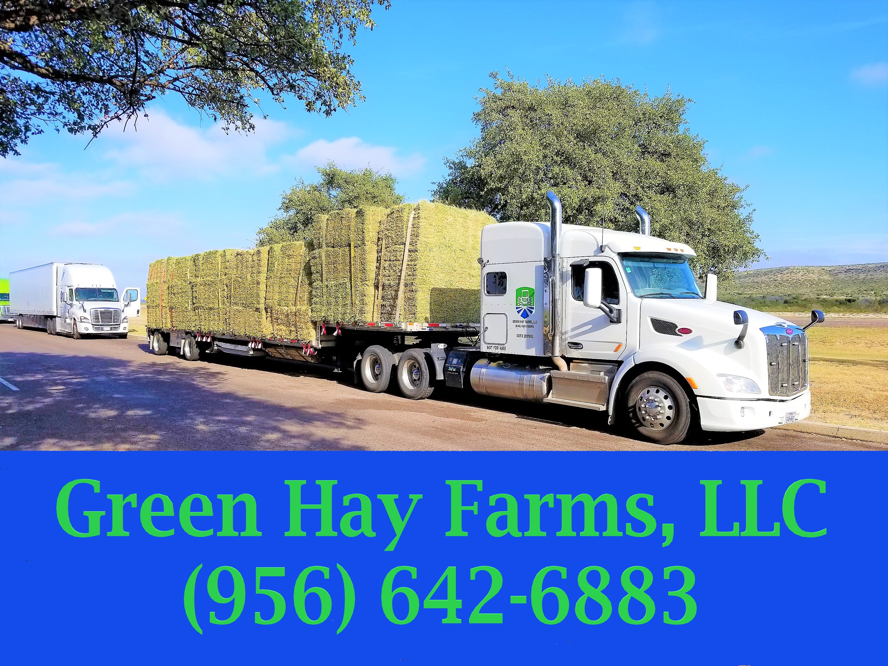 Hay Sale Texas