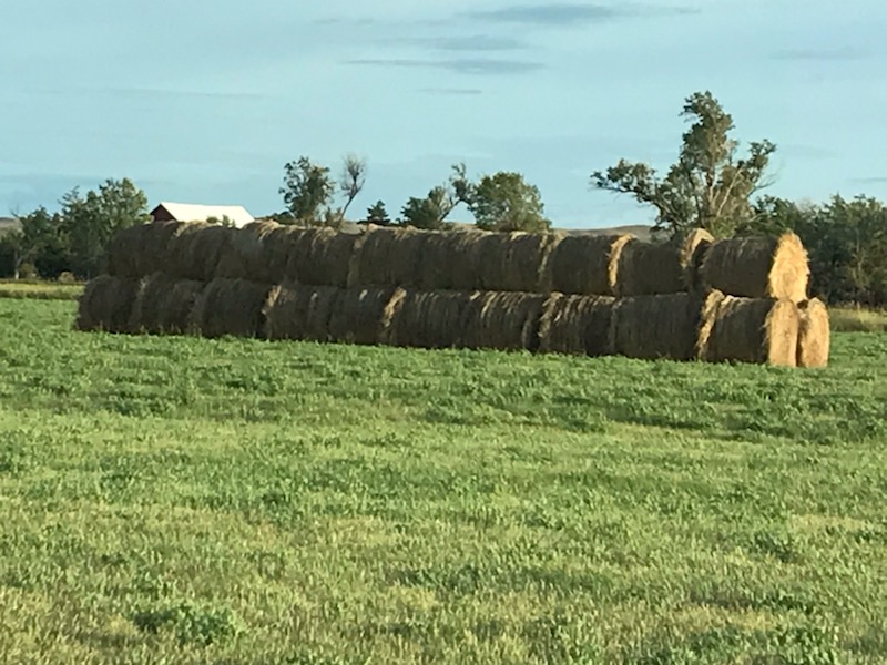 Hay for Sale South Dakota