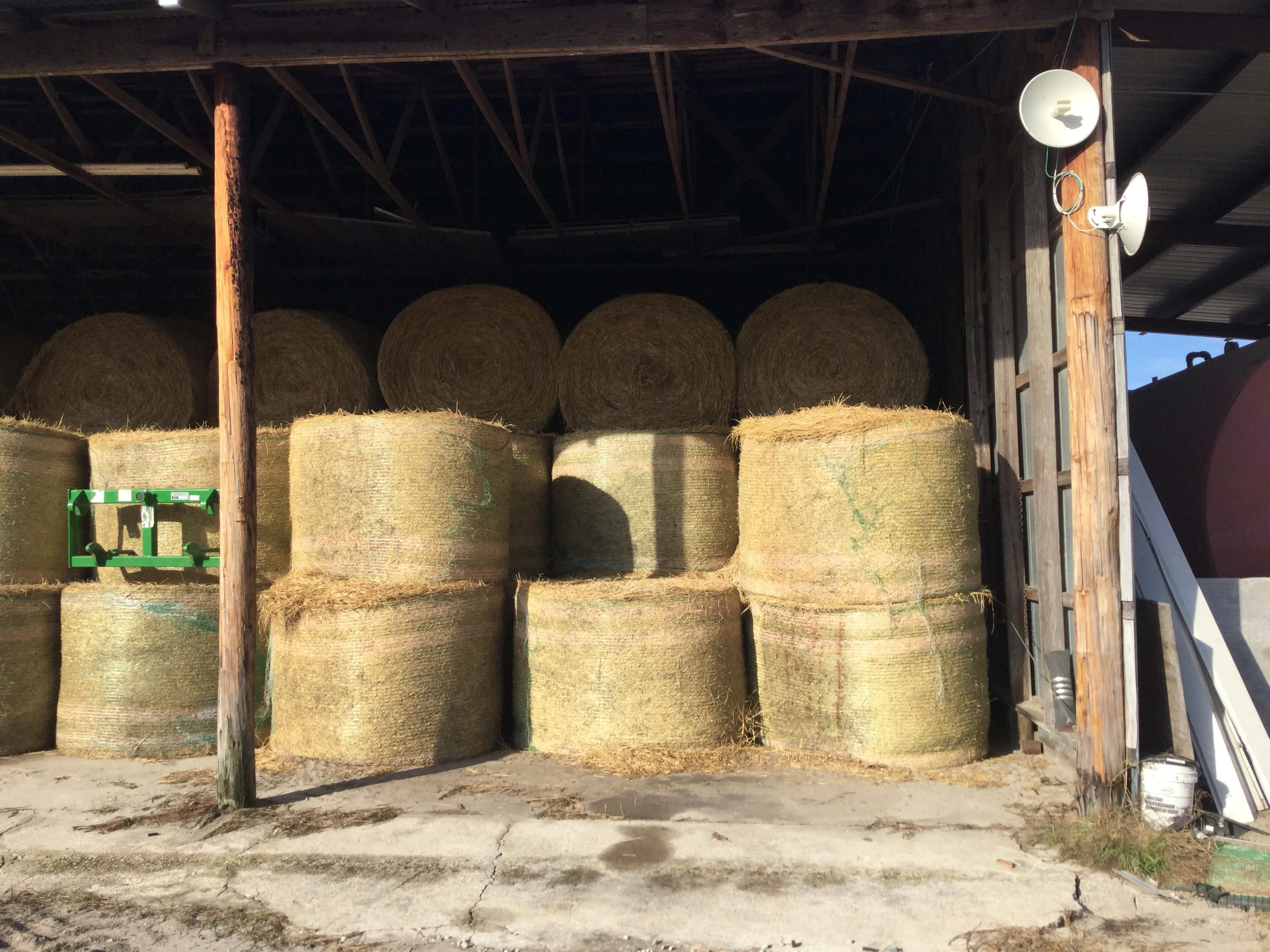 Hay for Sale