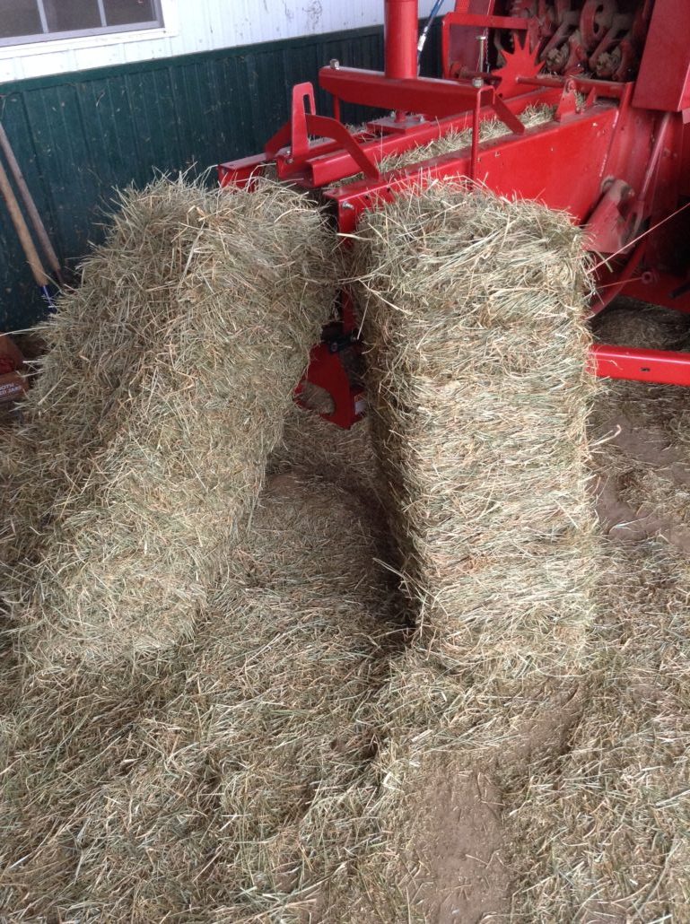 Hay for Sale Tennessee