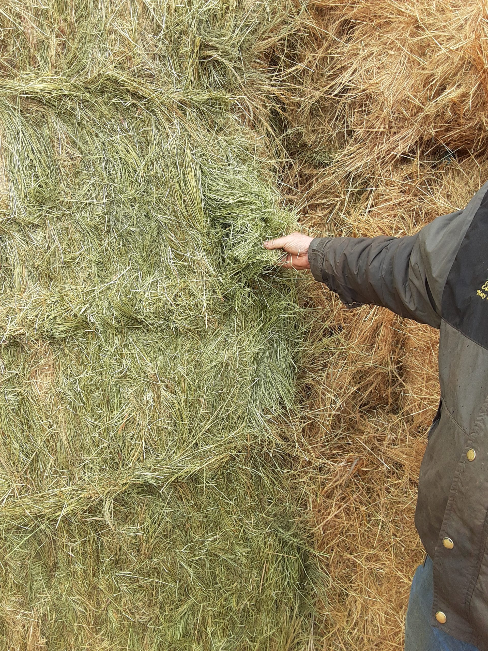 Hay for Sale North Dakota