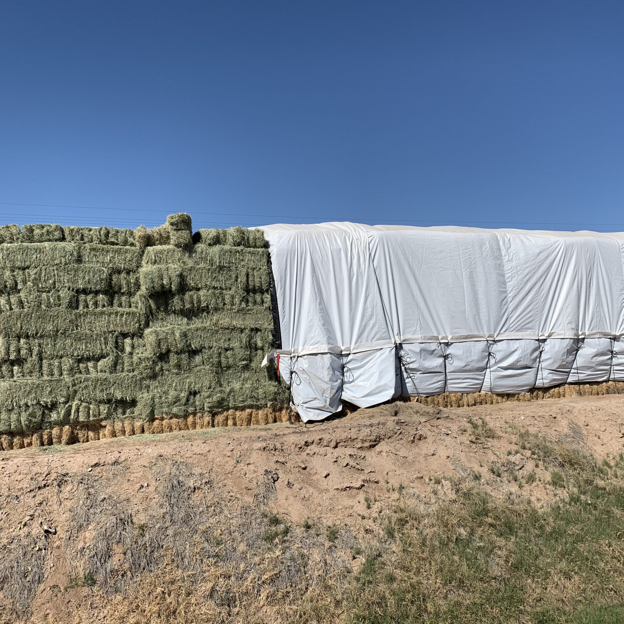 Hay for Sale California