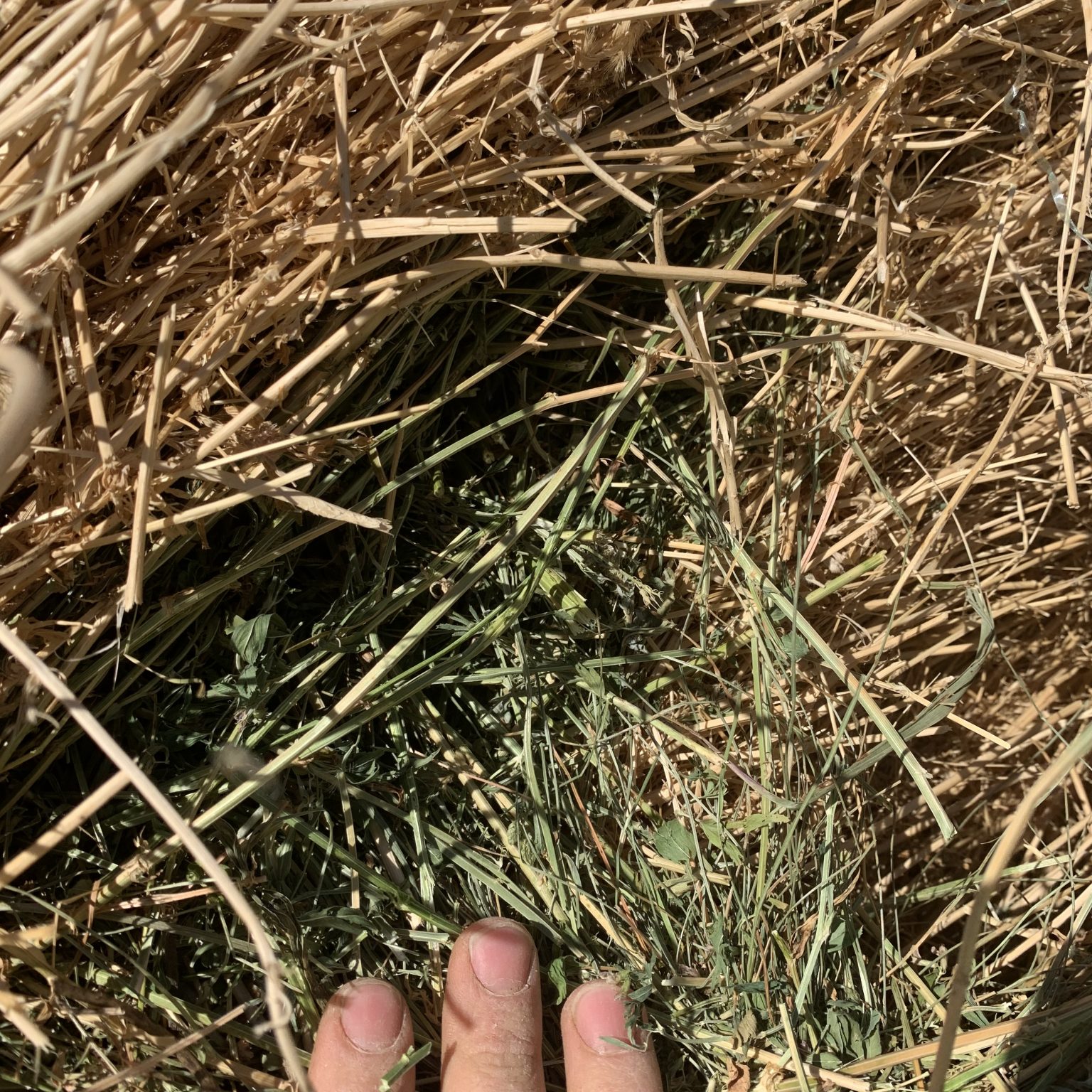 Hay For Sale in South Dakota