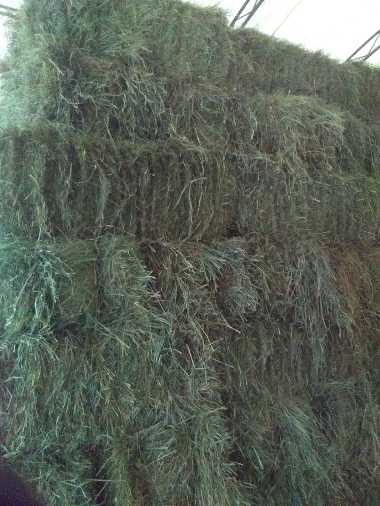 Hay For Sale in Illinois