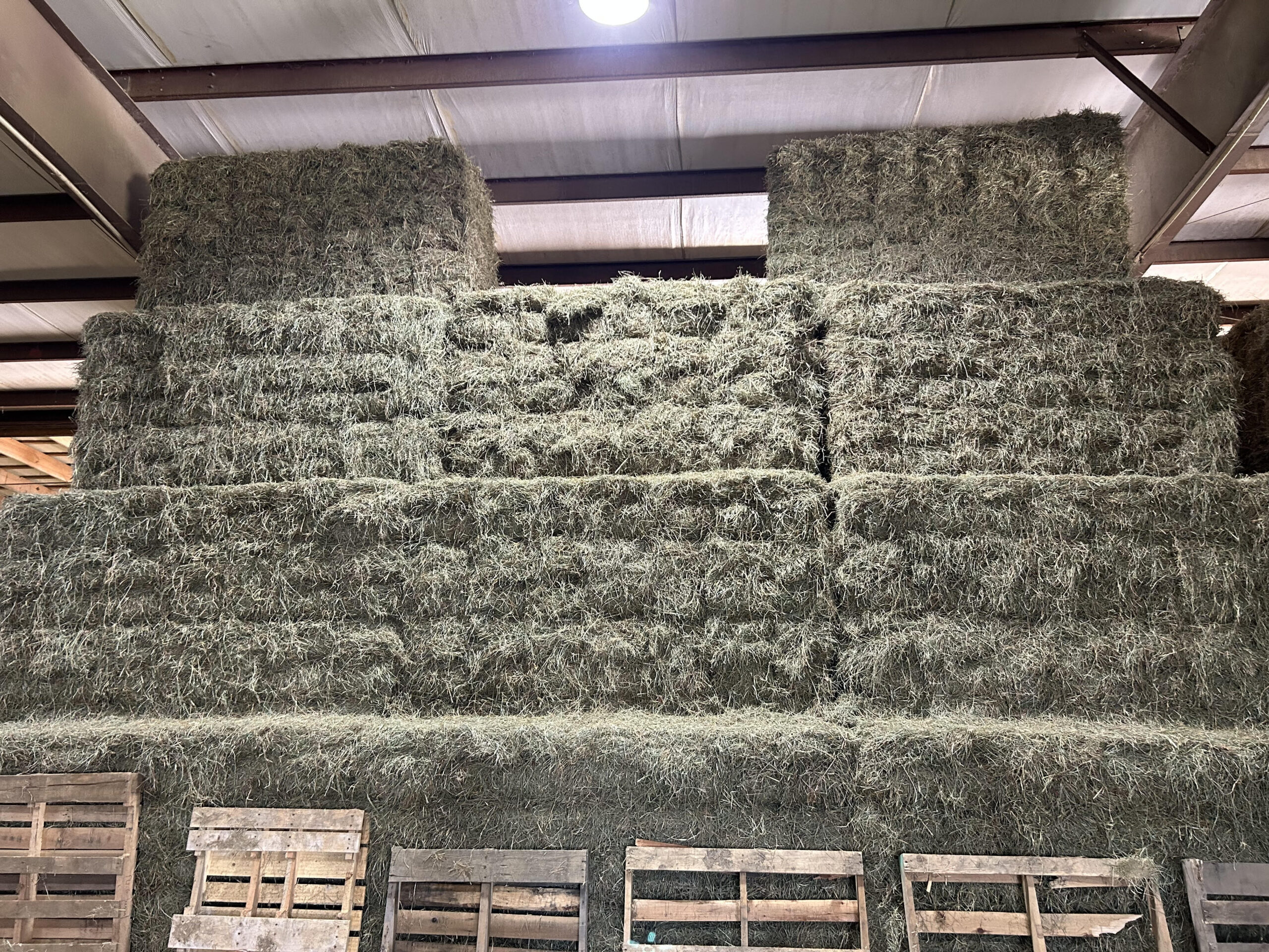 Hay For Sale in Tennessee