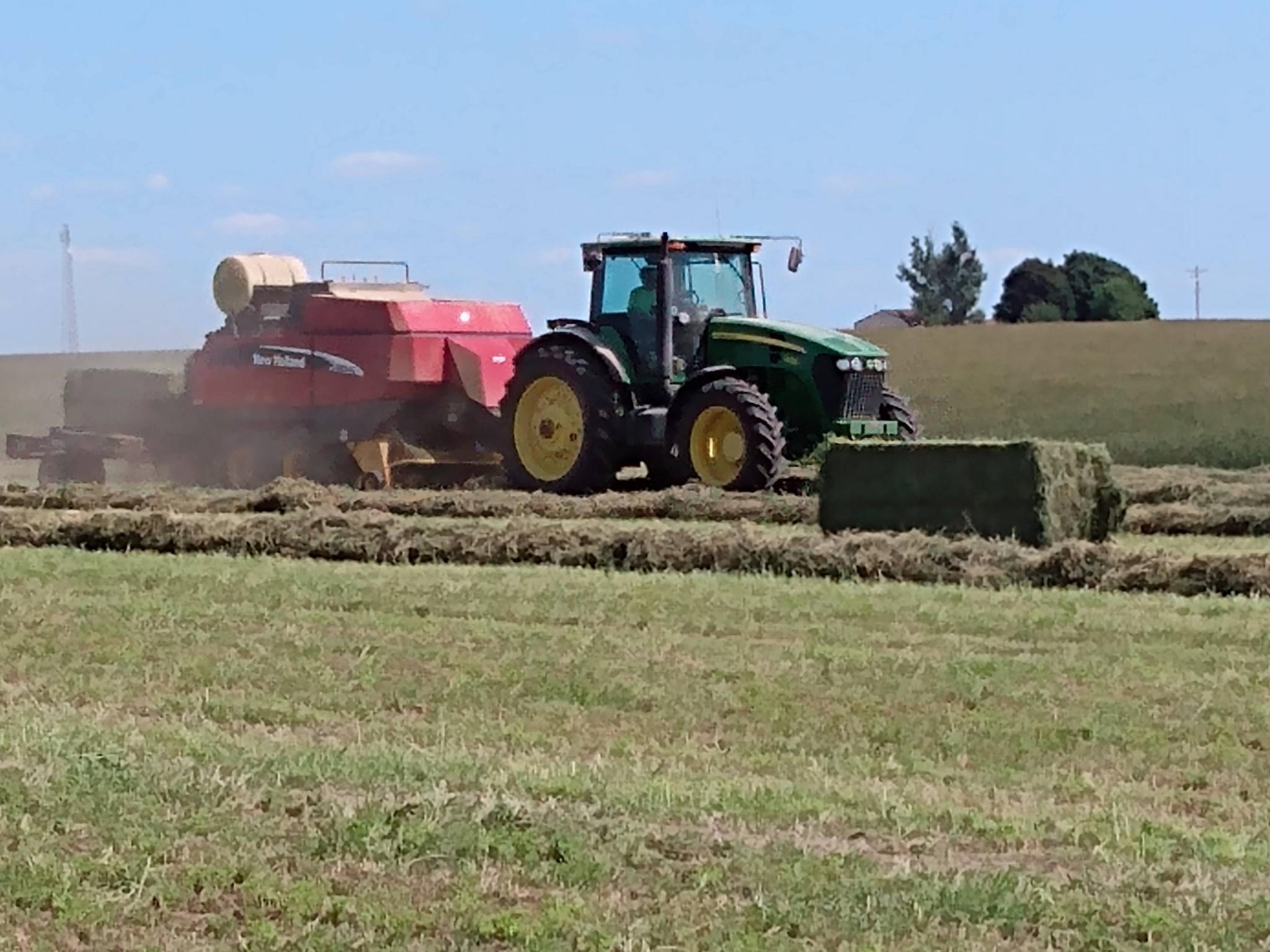 Grass Hay Mt. Carroll, Illinois