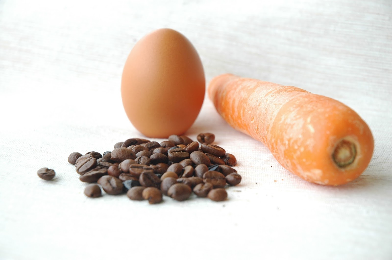 A Carrot, An Egg, or a Coffee Bean? Healthy Kids & Family