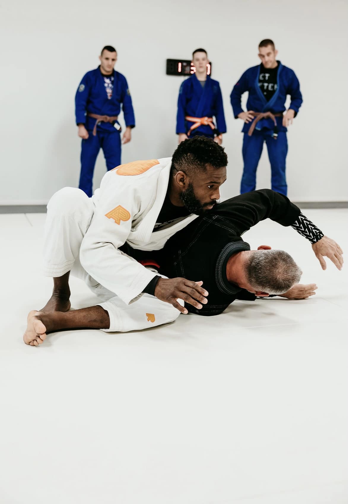 Adult Brazilian JiuJitsu Alliance BJJ Washington