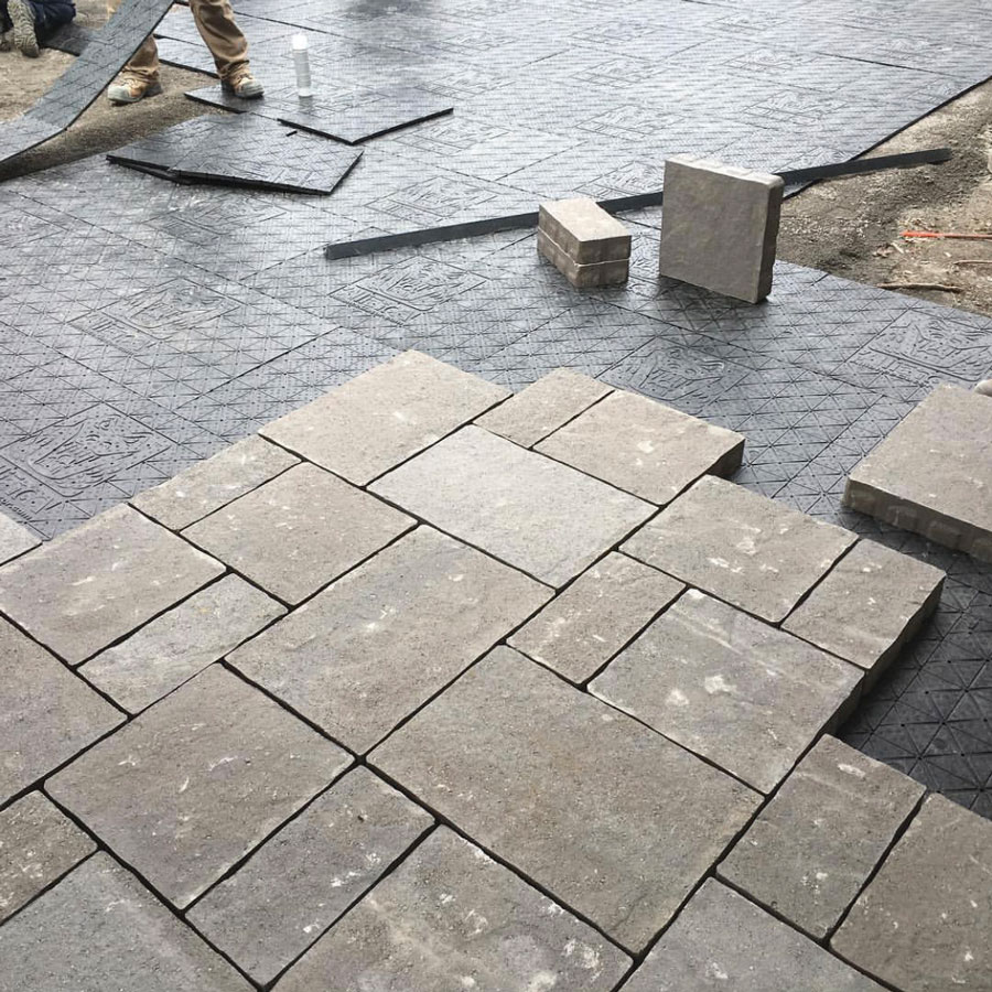 Gator Base Alliance Gator