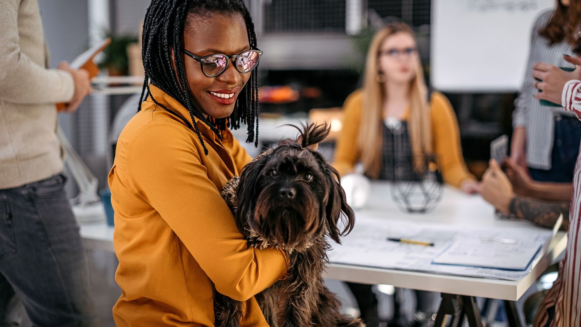 Pets in the Workplace Alliance Insurance Group