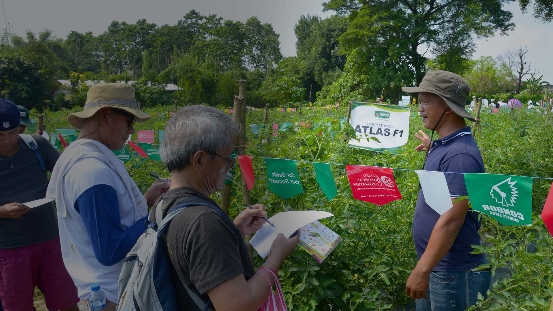 Allied Botanical Corporation The Top Choice of Seed Distributor in