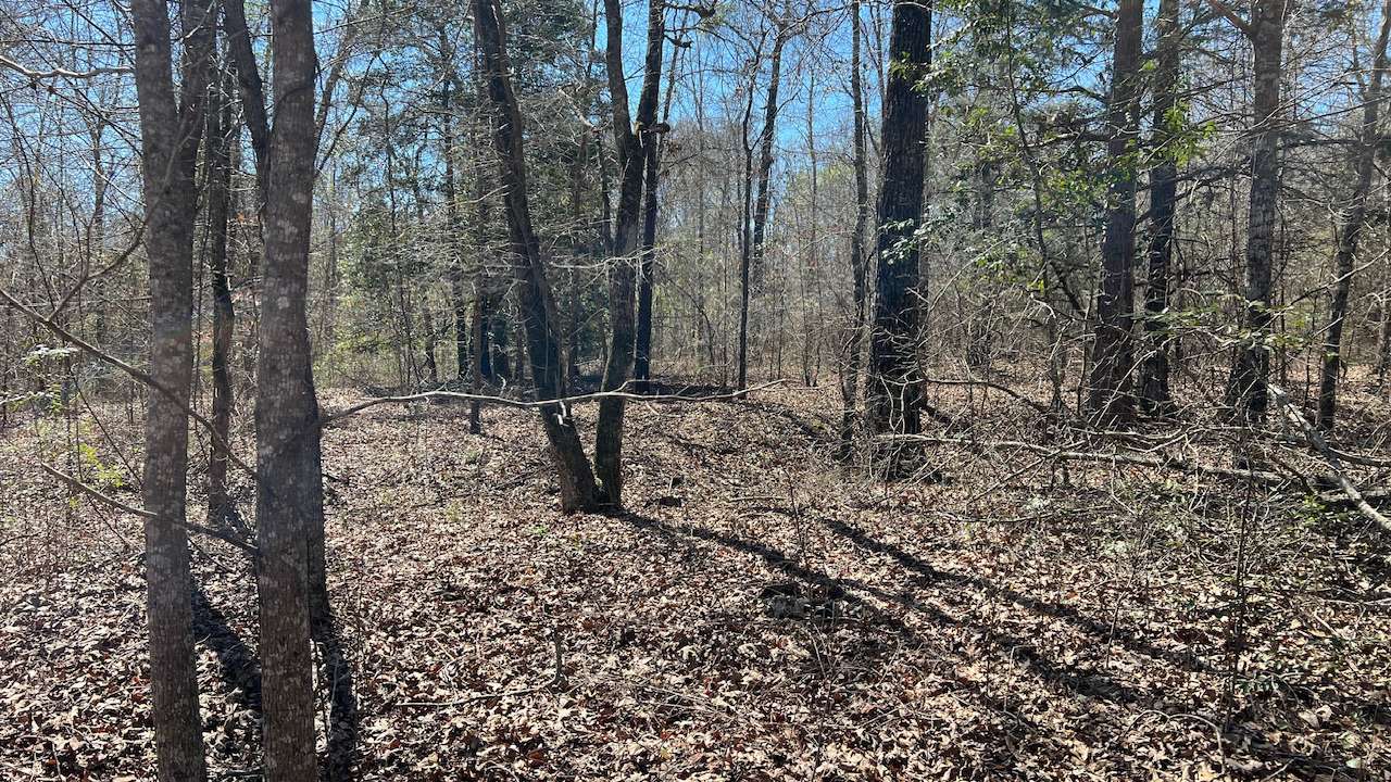 Allied Land & Timber Company, Inc.