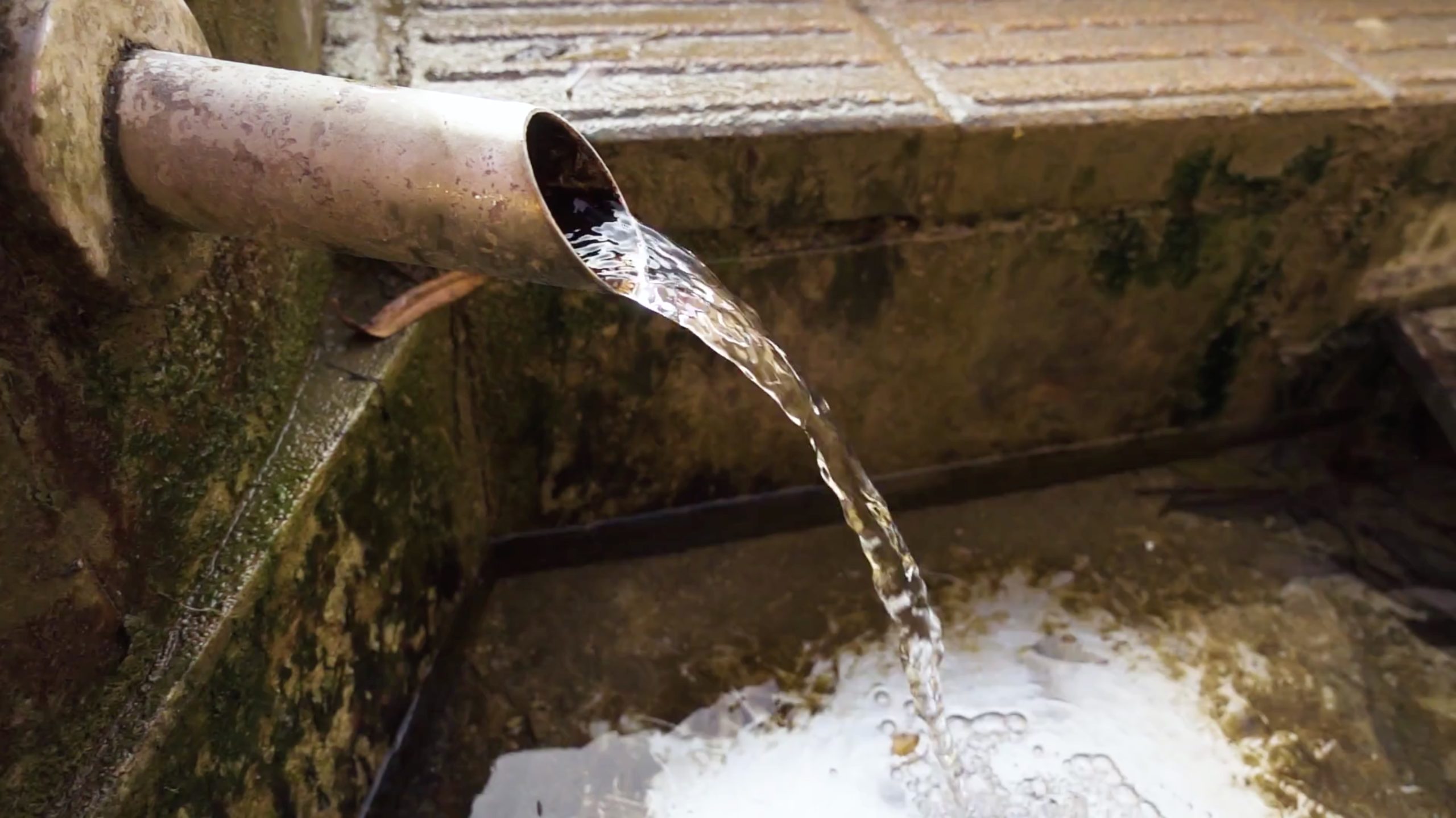 If You’ve Suffered Plumbing Related Damage, You Need to Read This