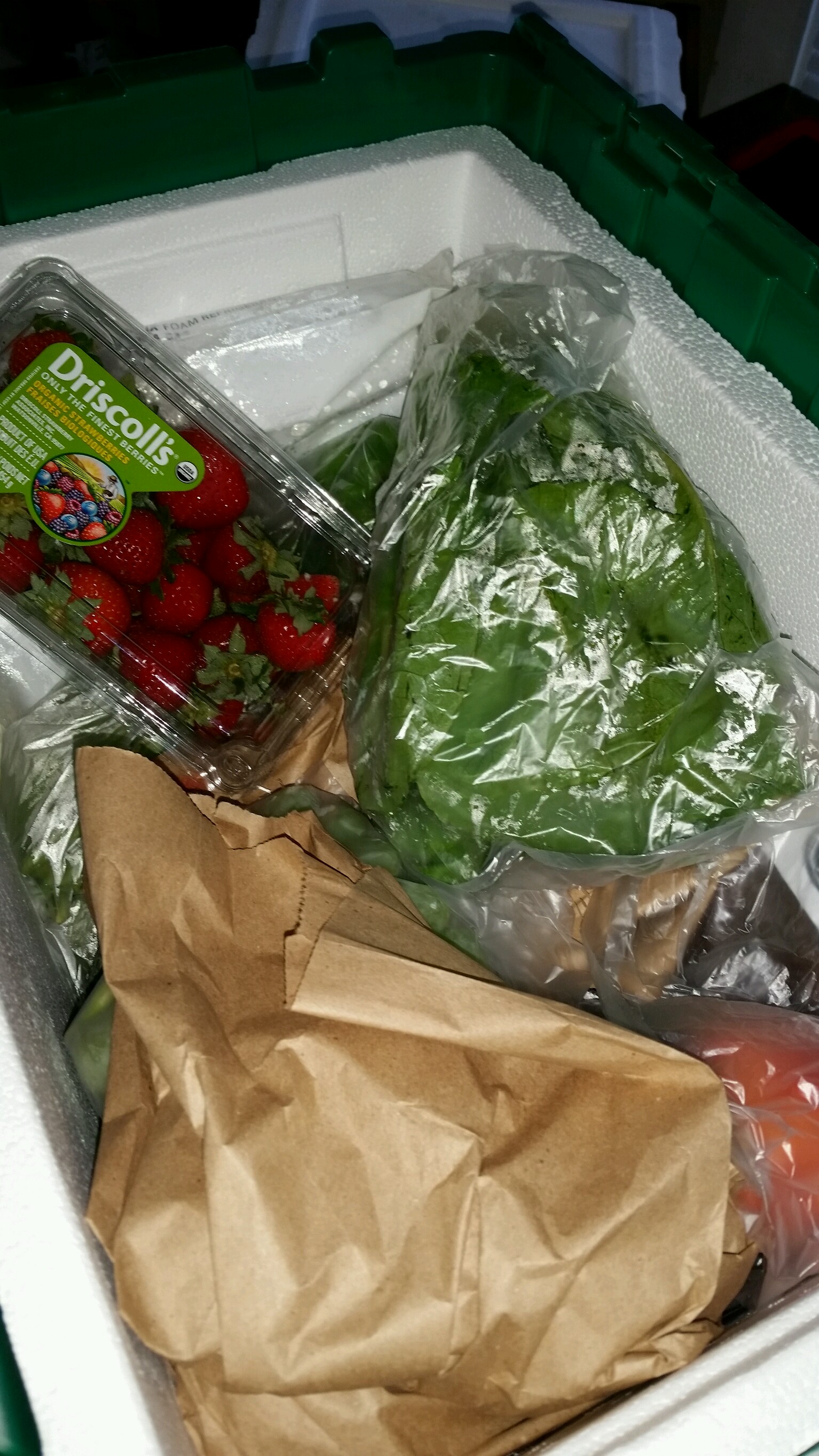 Fresh Produce (and more) Delivered Right to Your Door Step with Green BEAN Delivery All In A
