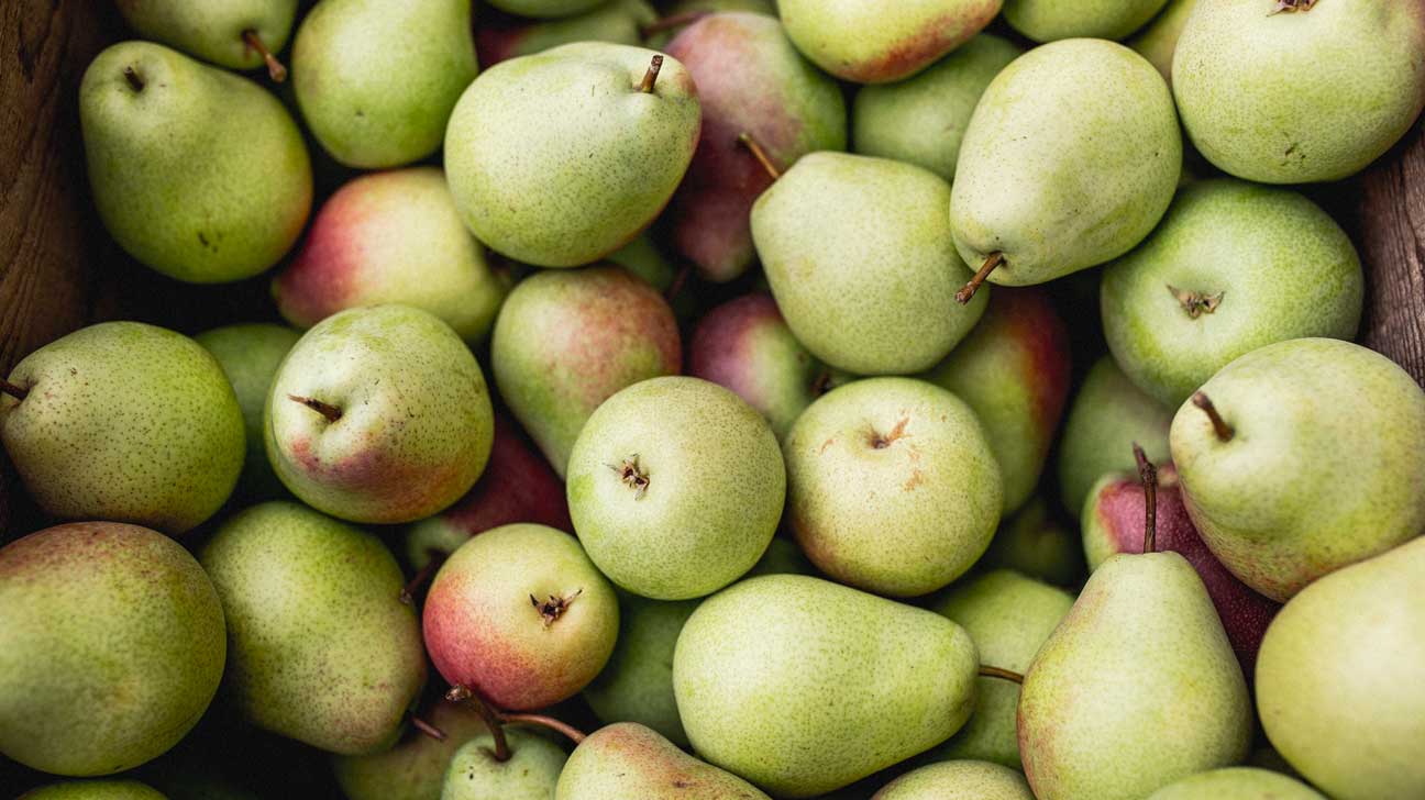 7 Best And Affordable Fruits You Should Be Eating Every Day During